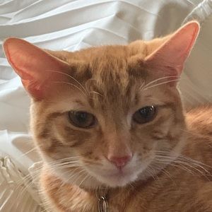 Meet your Posher, Senia